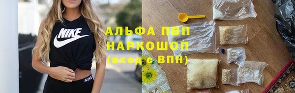 гидра Белокуриха