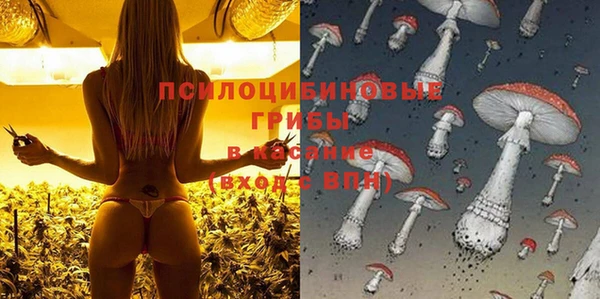 таблы Белоозёрский