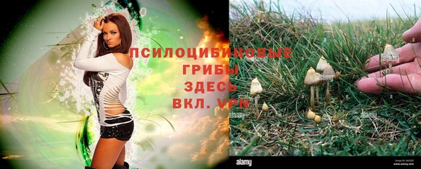 кокаин Беломорск