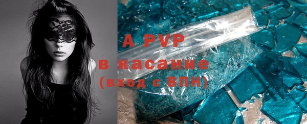 гидра Белокуриха